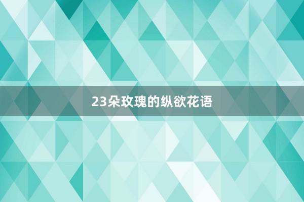 23朵玫瑰的纵欲花语
